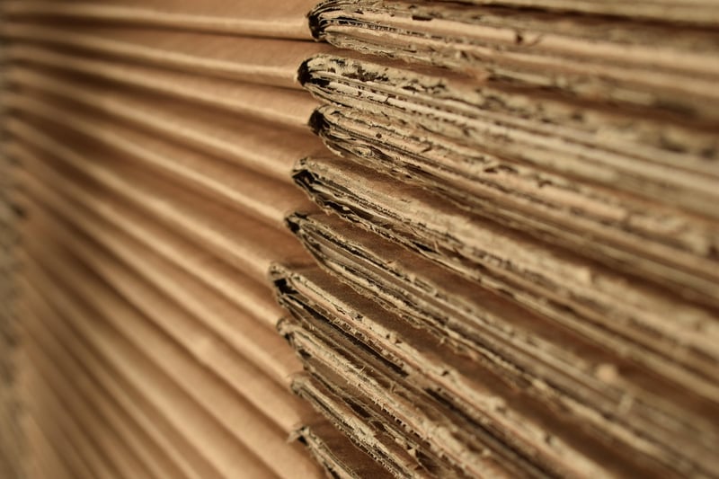 Cardboard City